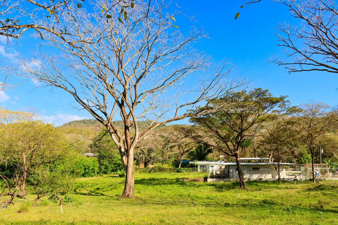 Paradise In L Section - Lot #5